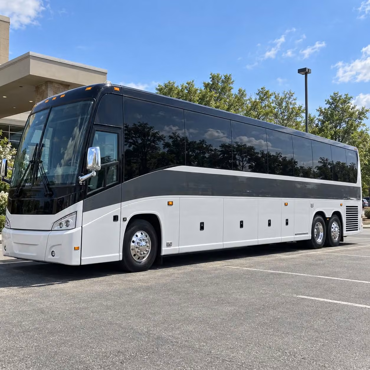 one quick form books frisco bachelorette and birthday party bus rentals